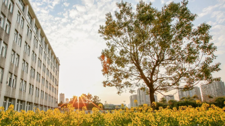 恭学网校|浙江升本院校——浙大城市学院